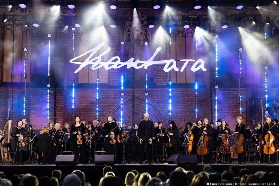 Фото: Юлия Власова / «Новый Калининград»