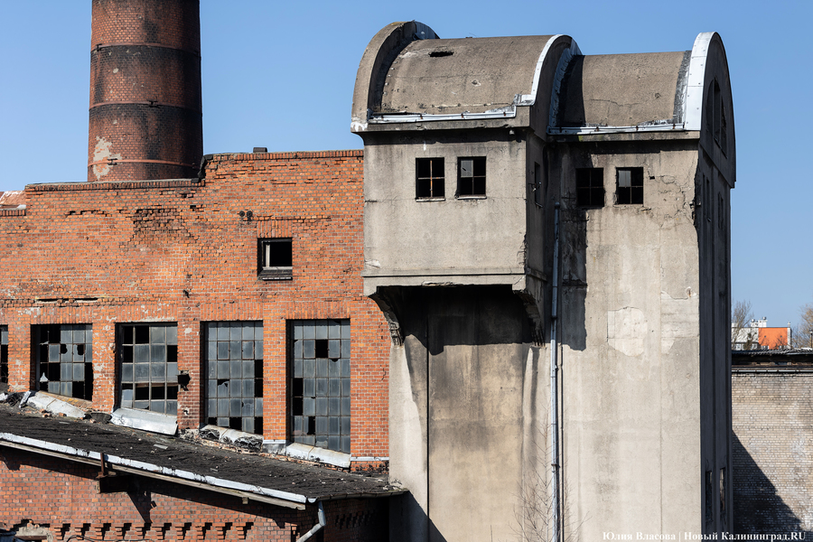 След Розенау: как выглядит заброшенный мясокомбинат на Аллее Смелых (фото)