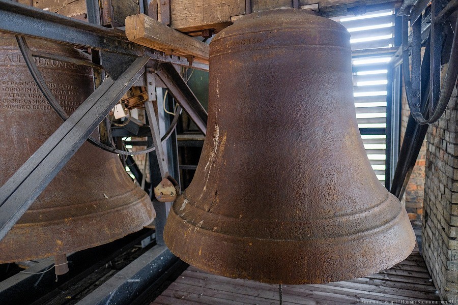 С личного завода кайзера: филармония хочет запустить экскурсии на колокольню (фото)