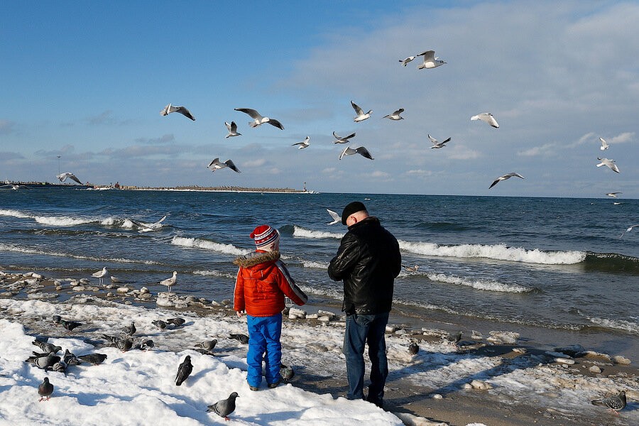В Калининграде прогнозируется очередное потепление среди зимы