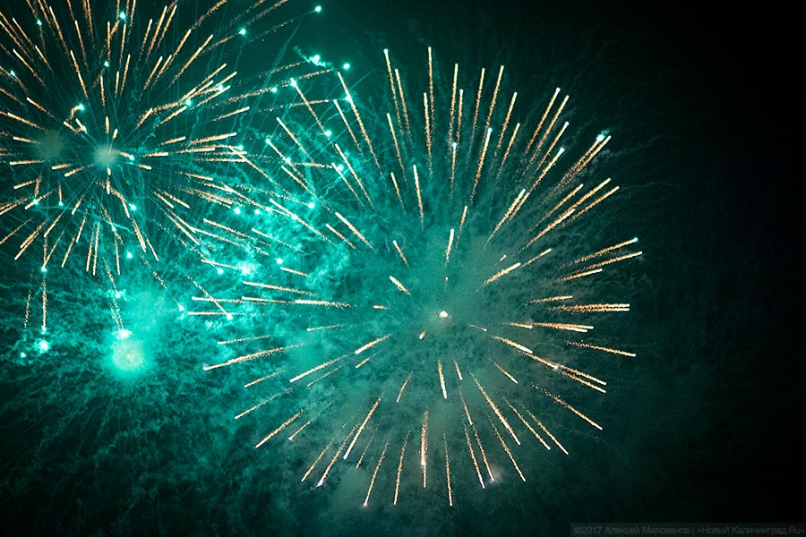 Бесконтактный зоопарк: самый удачный гала-концерт Дня города в Калининграде