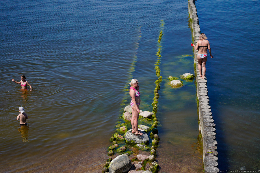 Тесные контакты: пляжи области в жаркие выходные были забиты туристами (фото)