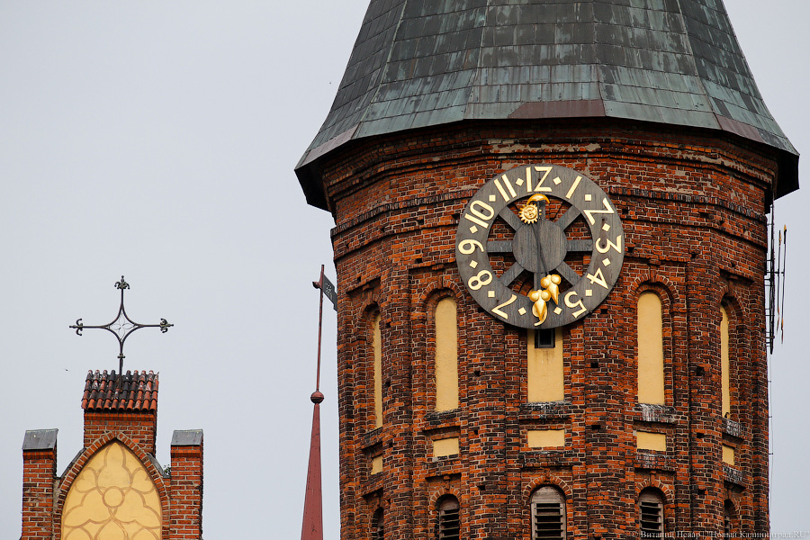 Фото: Виталий Невар / Новый Калининград 