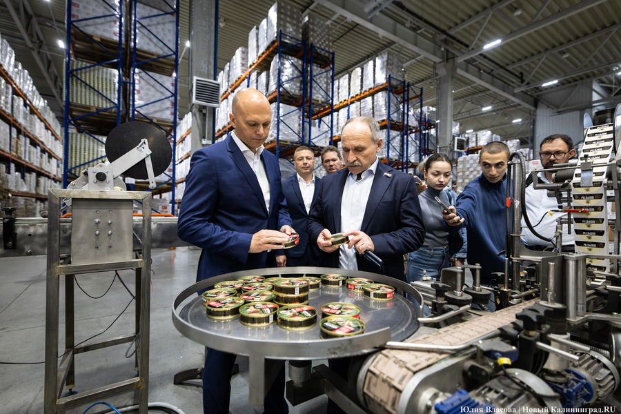 Шпроты, бассейн и разбитые дороги: как губернатор выяснял, чем живет Светлый 