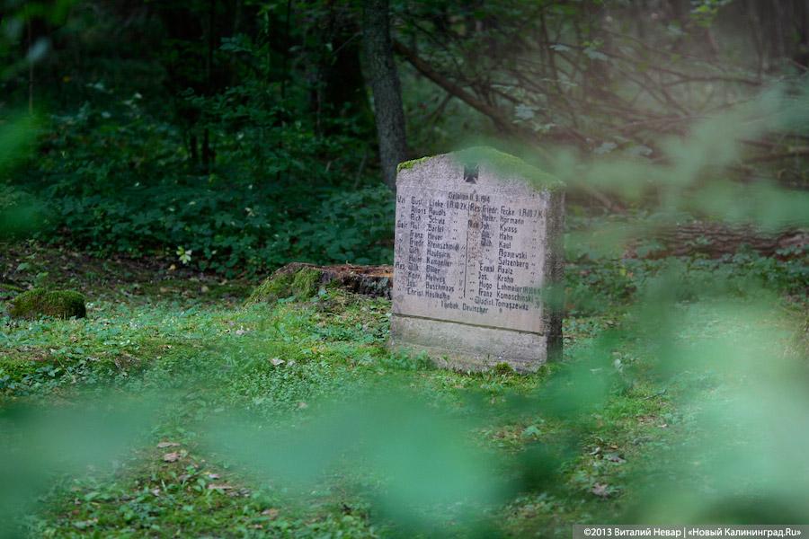 По следам Первой мировой: исчезающие захоронения воинов в Озёрском районе