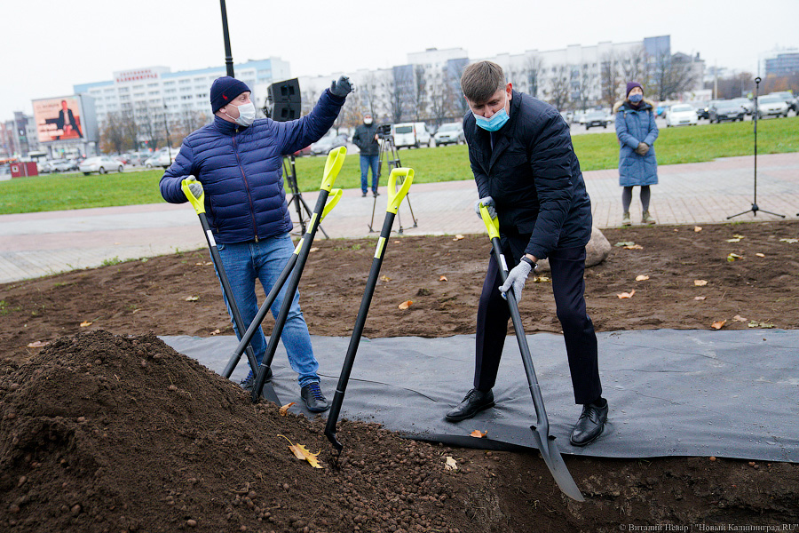 «Платанические» отношения: чиновники и бизнесмены посадили аллею у Дома Советов (фото)