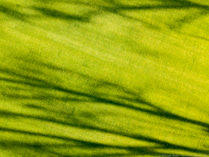 На строительство стадиона в Пионерском планируют потратить 250 млн рублей