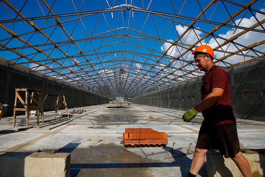 «Иначе нам кирдык»: как сельхозпроизводители смотрят на продовольственное эмбарго