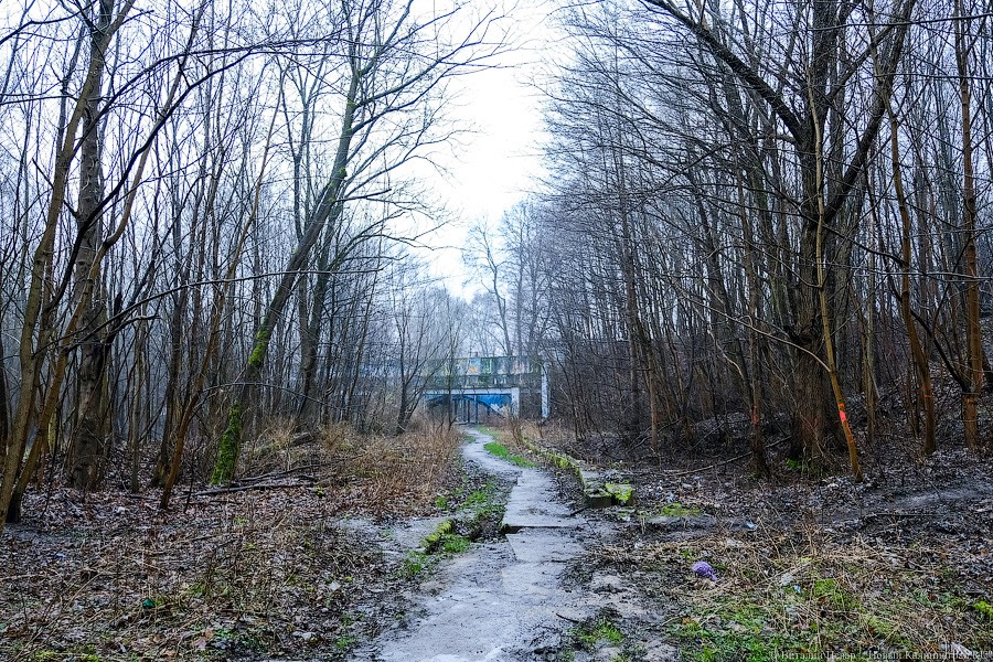 Областные власти надеются в середине 2020 увидеть проект детского хосписа