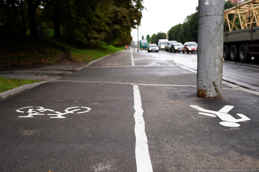 «Существо инородное»: Елена Дятлова призвала смириться с появлением велосипедной разметки