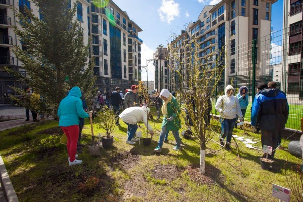 На «Цветном бульваре» жильцы посадили мини-ботанический сад