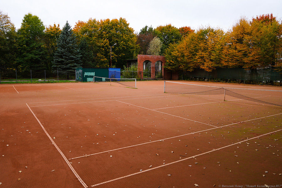 Увидеть в последний раз: осень на стадионе «Спартак», который хотят застроить (фото)