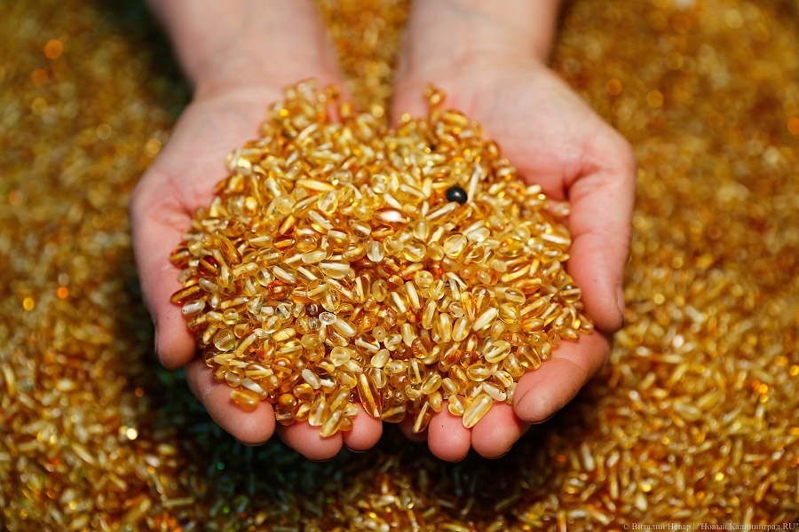 Немецкие исследователи заявили о предполагаемом местонахождении Янтарной комнаты