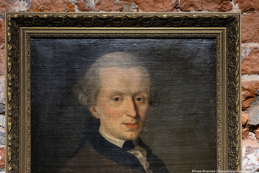 «Этот путь тупиковый»: профессор-кантовед о «последних тенденциях» задвигать Канта