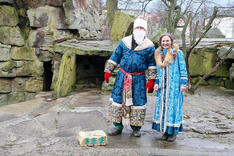 Конина к году Лошади: зоопарк раздал животным любимые лакомства