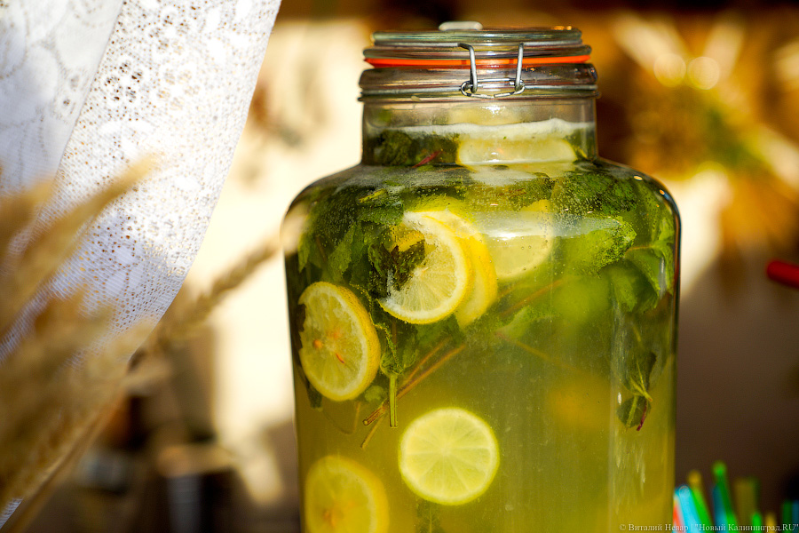 Взять в руку и есть: у Дома Советов прошел городской пикник Kaliningrad Street Food