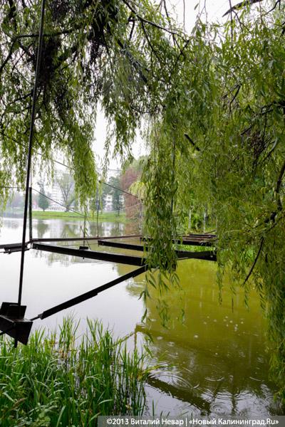 Куда уехал цирк: прогулка по Южному парку