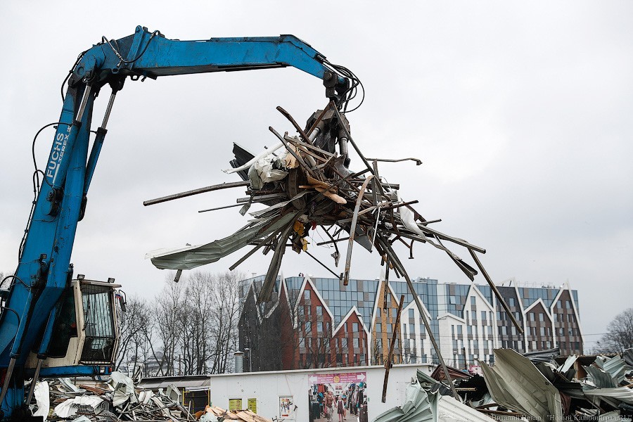 Фото — Виталий Невар, «Новый Калининград»