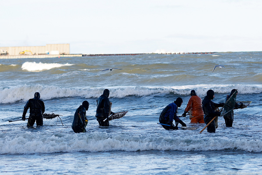 Лучшее время: как в Пионерском ловят янтарь после шторма (фото)