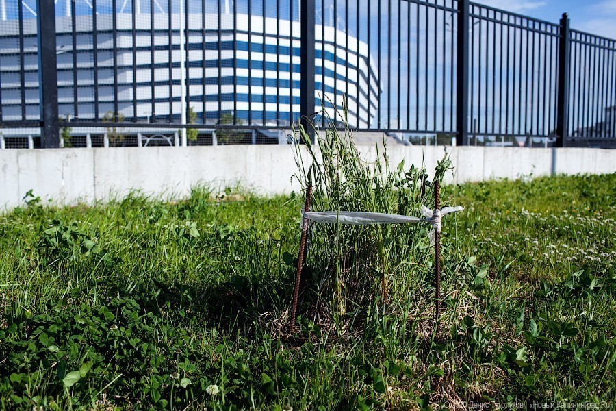 Днищем об асфальт: что происходит с Октябрьским островом спустя два года после ЧМ (фото)