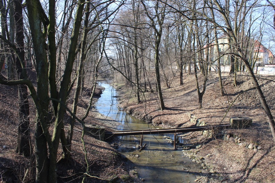 На неиспользуемой территории зоопарка обнаружили мину времен ВОВ (фото)