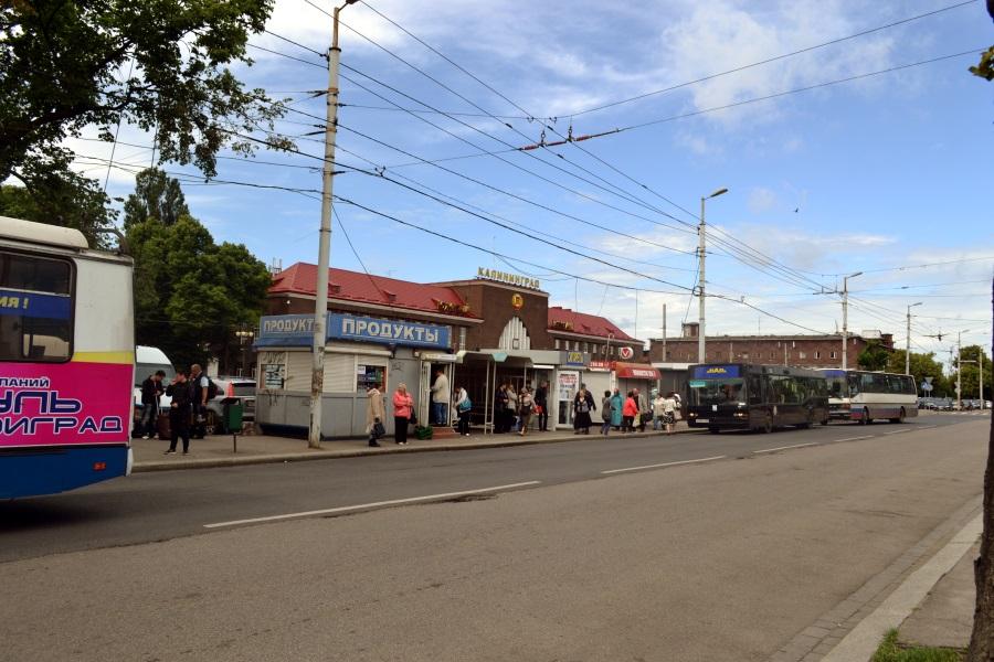 Как я теперь вожу: калининградцы привыкают к одностороннему Ленинскому