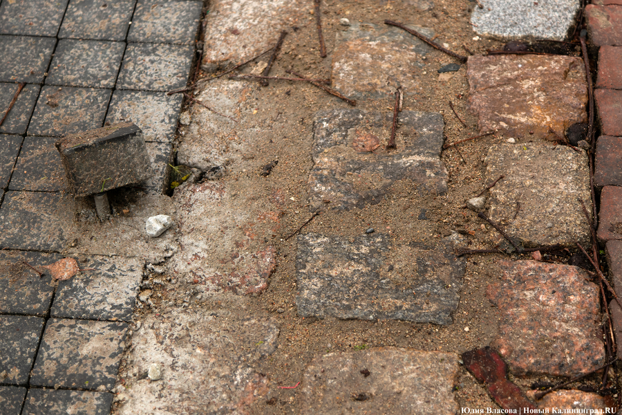 50 оттенков коричневого: как выглядит после ремонта Фестивальная аллея (фото)