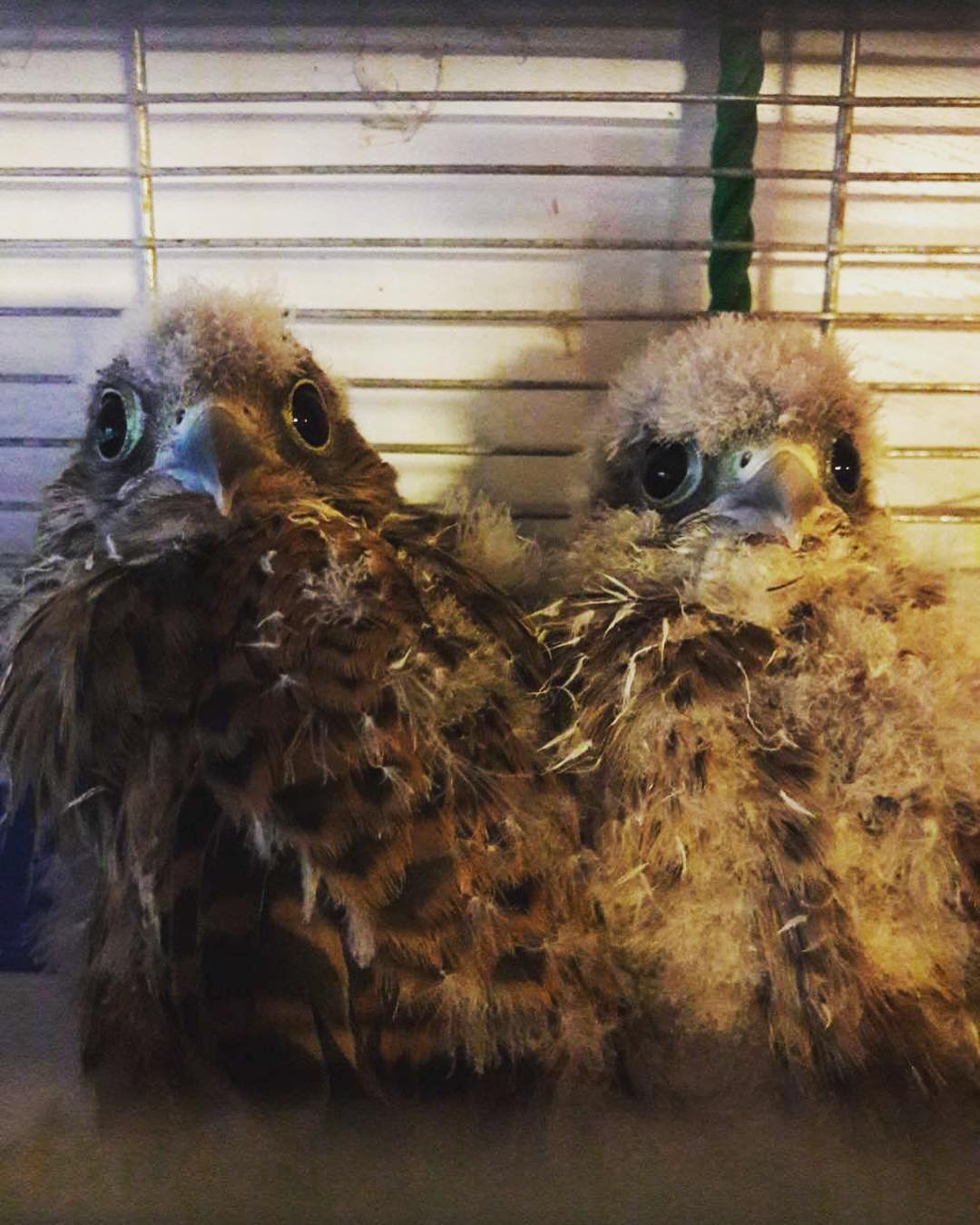 Подворье на Хуторской приглашает в гости в эту пятницу!