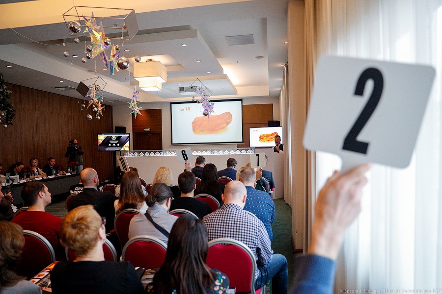 Янтарная козявка: чем закончились первые в Калининграде торги по инклюзам (фото)