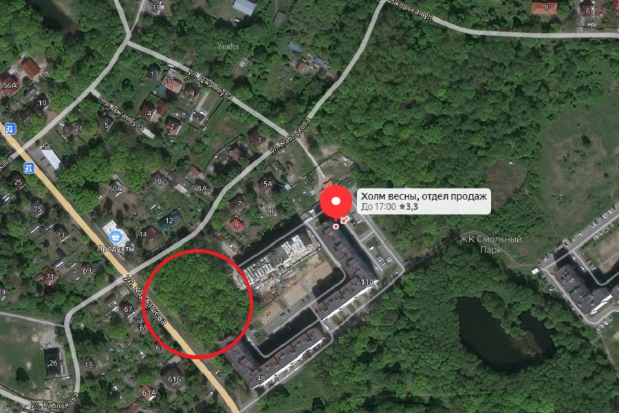 Алиханов поручил «пригласить» застройщика, огородившего дубовую рощу в пос. им. Космодемьянского