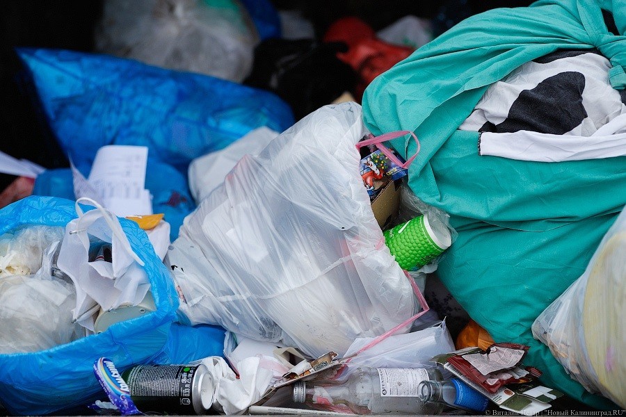 Калининградскому мусорному оператору согласились дать в банке кредит на 100 млн