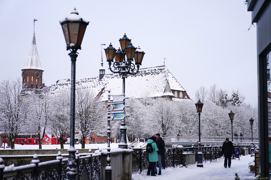 За ночь Калининград замело снегом. Вот как выглядел город утром 13 января (фото)