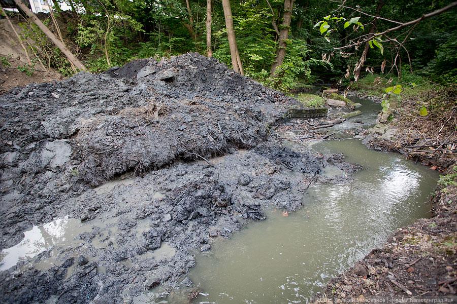 Около бывшей «Сказки» строители завалили глиной русло Паркового ручья (фото)
