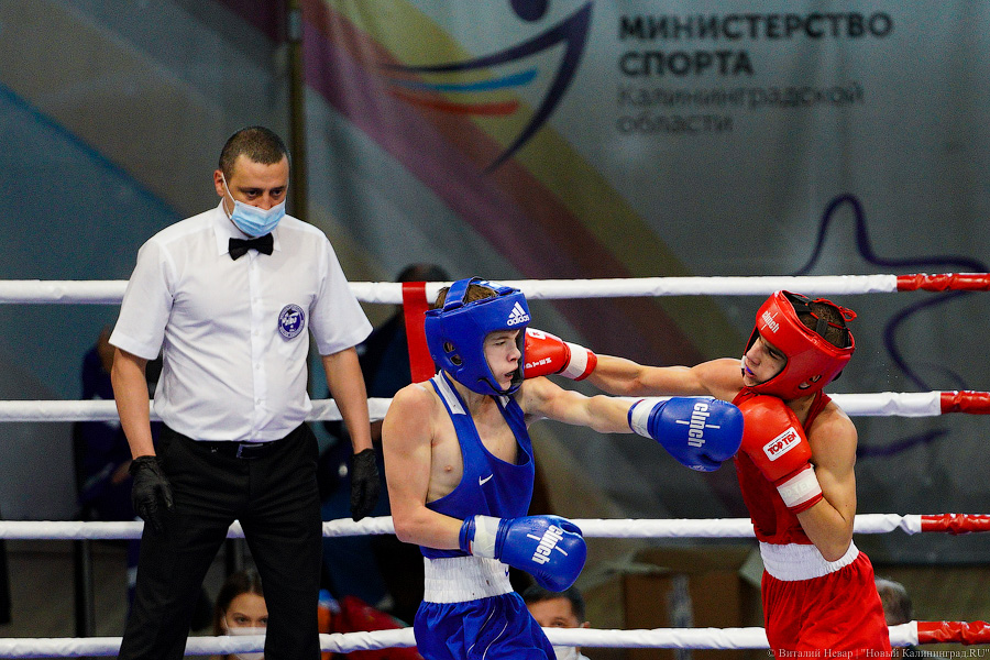 Очередной нокдаун: в Калининграде прошёл международный турнир по боксу «Янтарные перчатки»