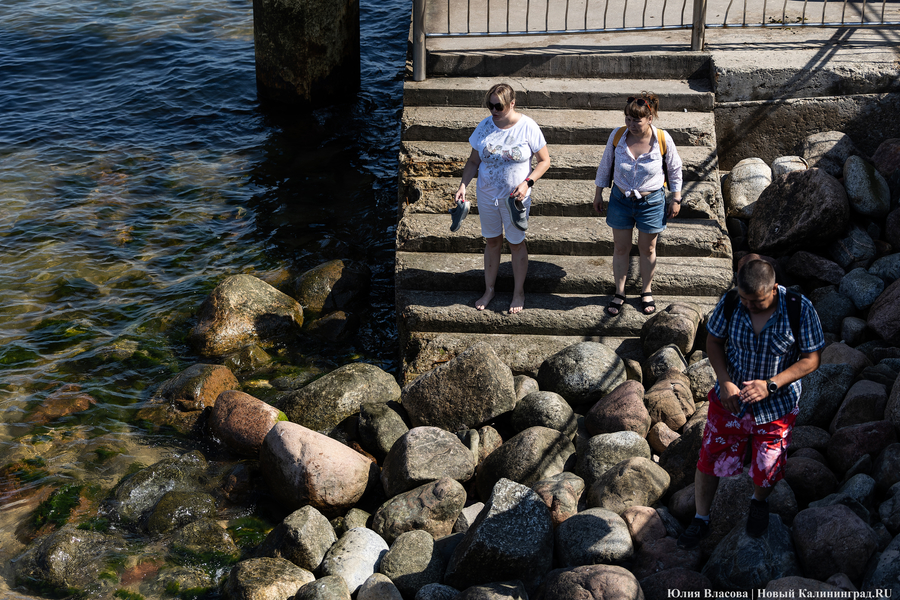 Опалённые солнцем: что происходит в Зеленоградске в рекордную жару (фото)