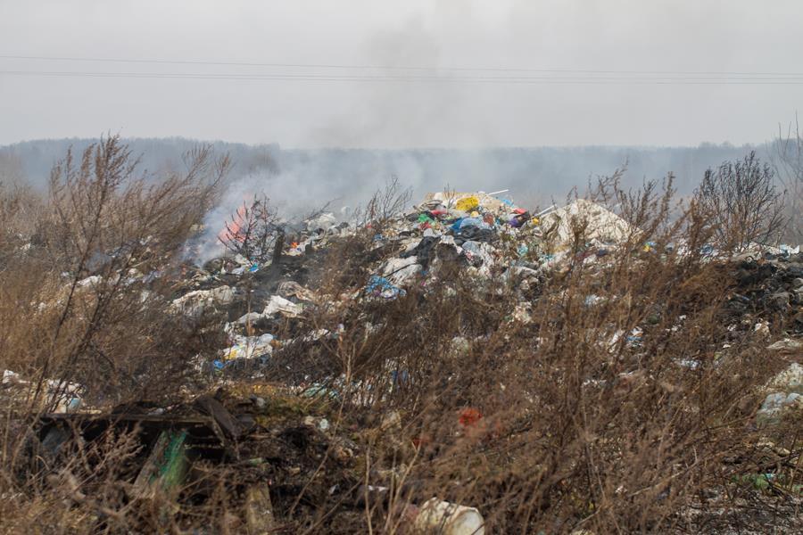В Краснознаменске на закрытом полигоне загорелся мусор на площади 800 кв. м (видео)