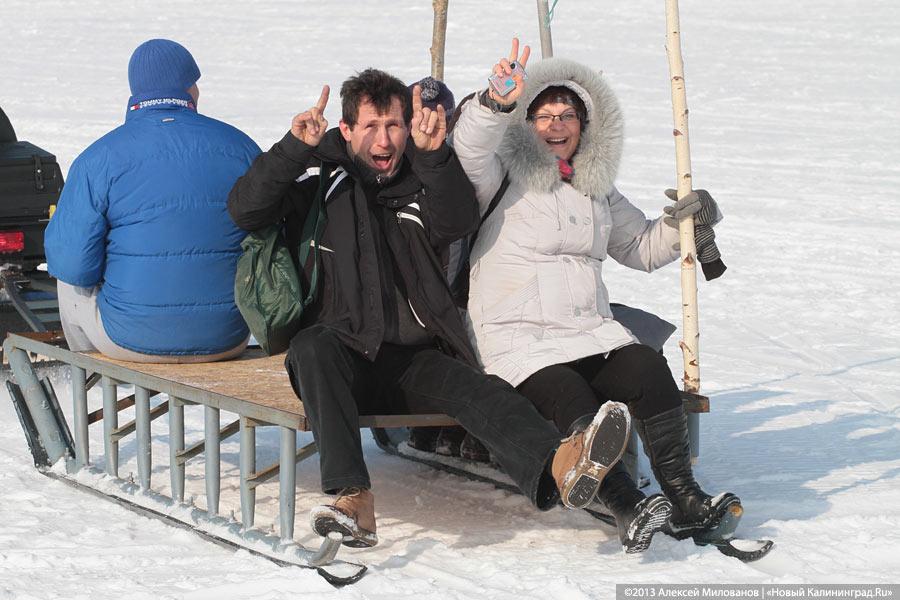 «На безрыбье»: «День корюшки» в Ниде