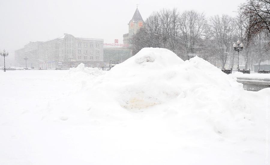"Нападение белых мух": фоторепортаж "Нового Калининграда.Ru"
