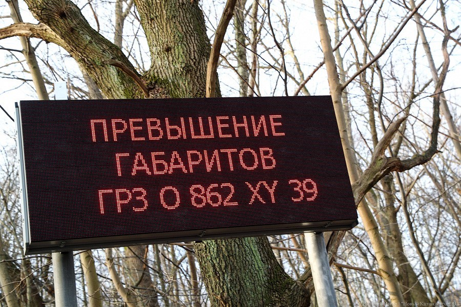 Власти перенесли срок введения в эксплуатацию станций весогабаритного контроля