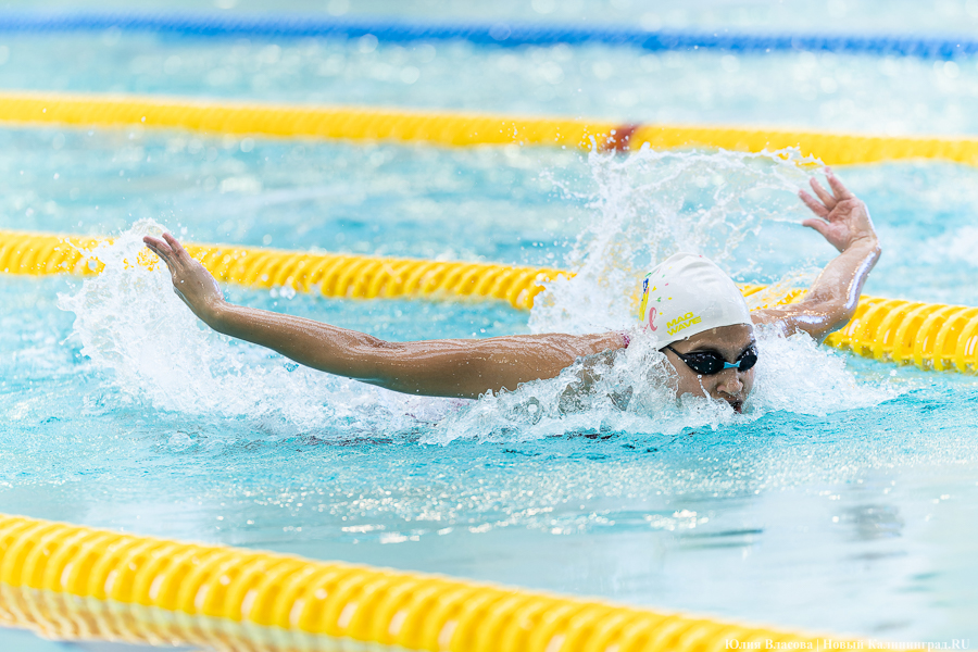 Легкой воды: как Калининград впервые принимал Кубок России по плаванию (фото)