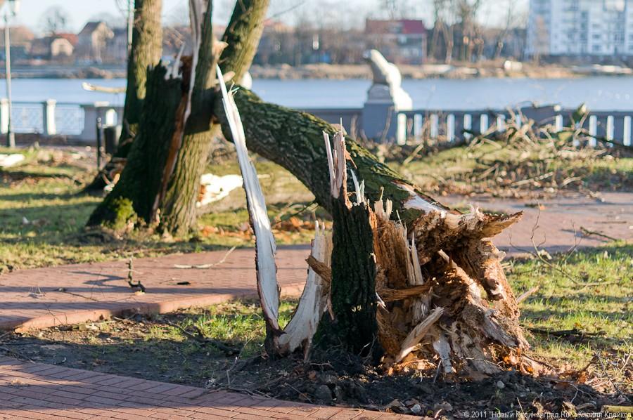 «А поутру они проснулись»: фоторепортаж «Нового Калининграда.Ru»