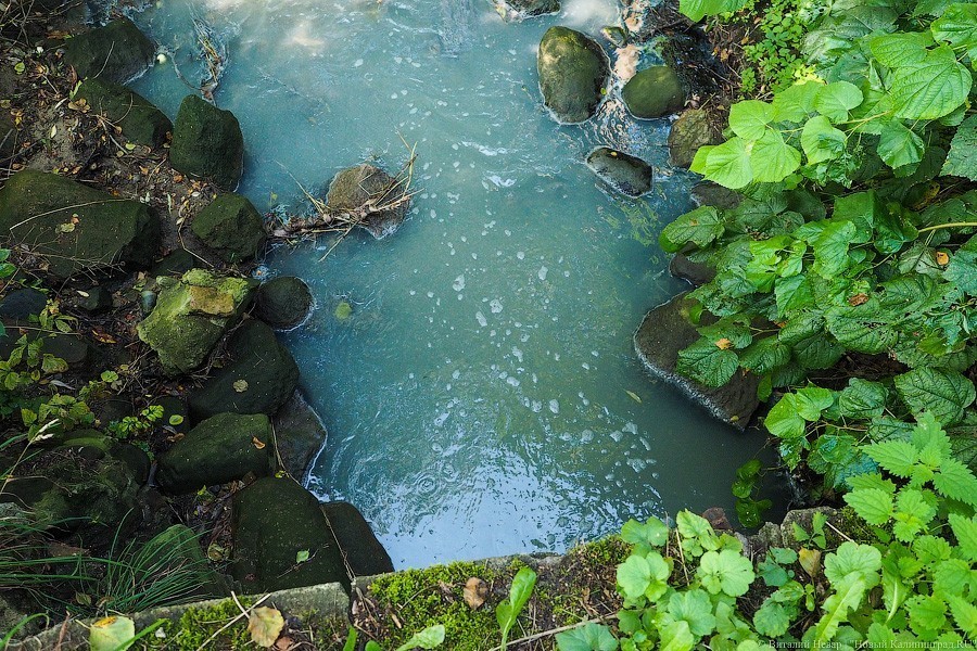 Минприроды объявило и отменило конкурс на проект очистки рек Калининграда