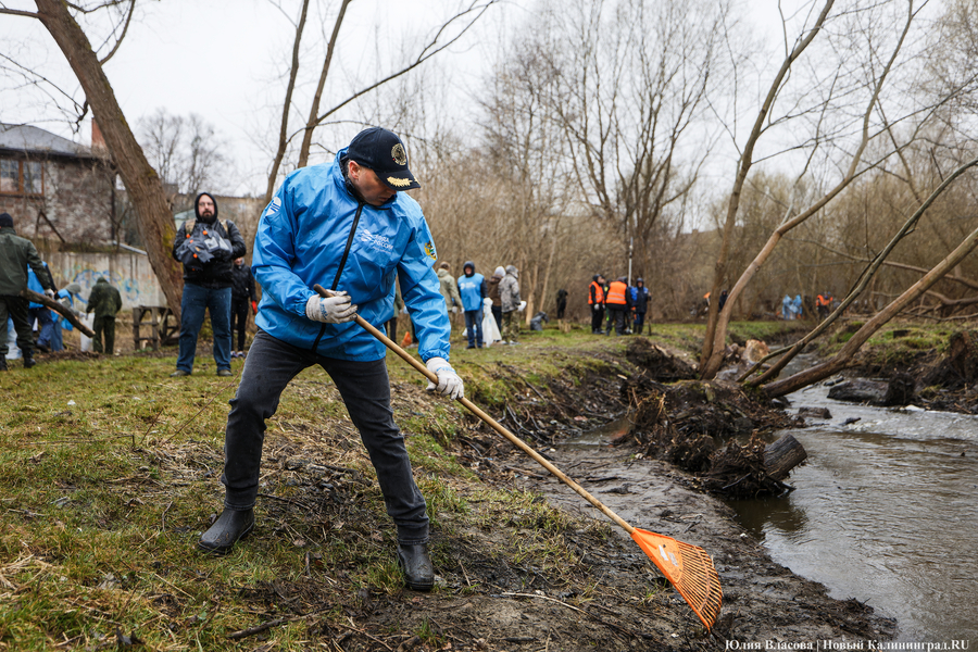 «Коммунальный Новый год»: как в Калининграде прошёл общегородской субботник