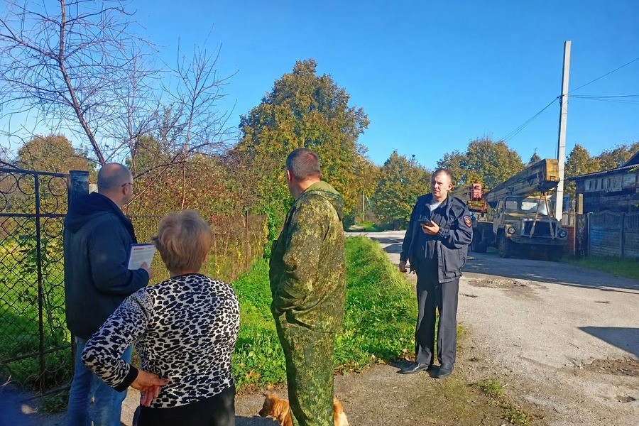 В Калининградской области проверяют использование льготной древесины