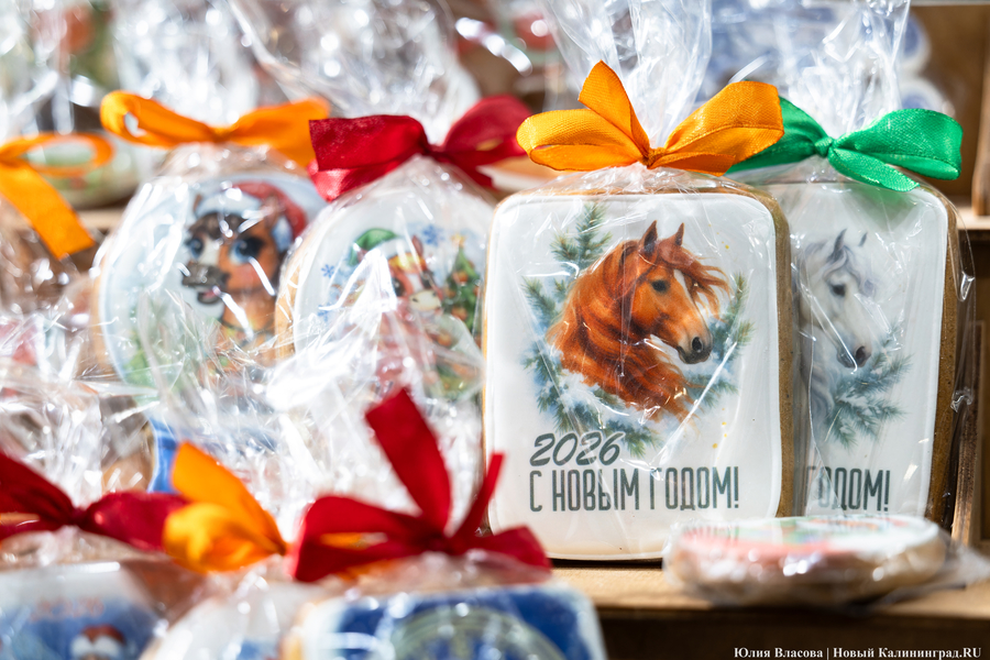 Новогодний вайб на острове Канта: как проходит праздничная ярмарка в Калининграде (фото)