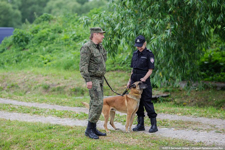 Главное — нос: фотоотчёт о Международных соревнованиях кинологов