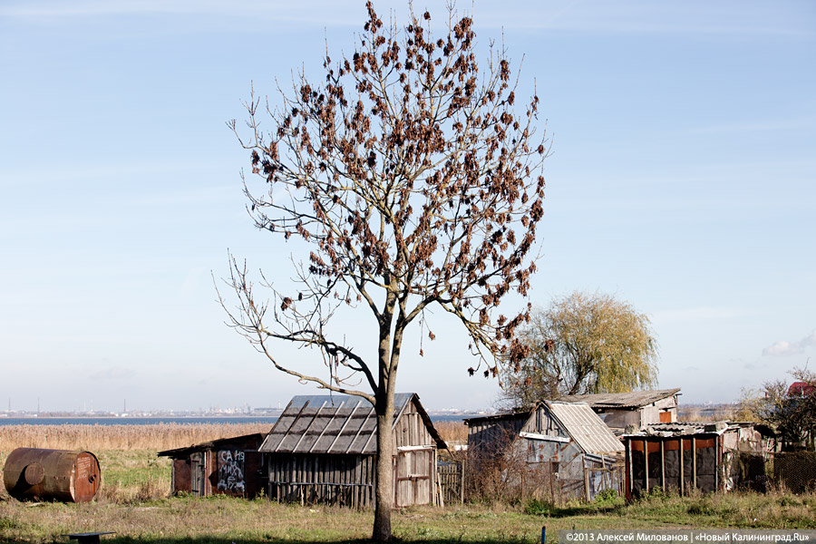 Минздрав области: пока не удалось решить проблему с доступностью медпомощи в маленьких поселках