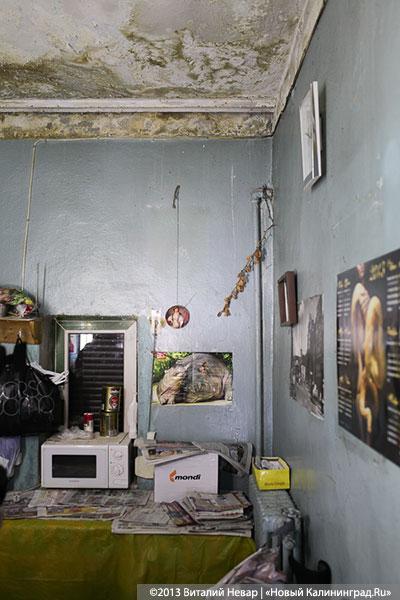 Владелец кафе «Съешь-ка» у входа в зоопарк начал самовольный ремонт фасада (+фото)