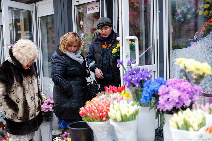 Кругом Голландия: сколько стоят цветы в центре Калининграда