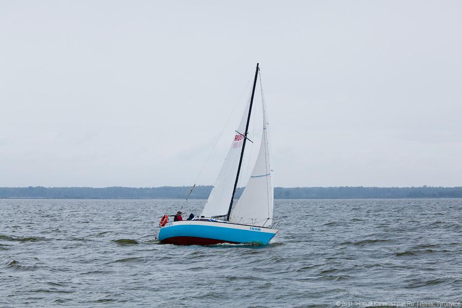 "Гонки под парусами": фоторепортаж "Афиши Нового Калининграда.Ru"